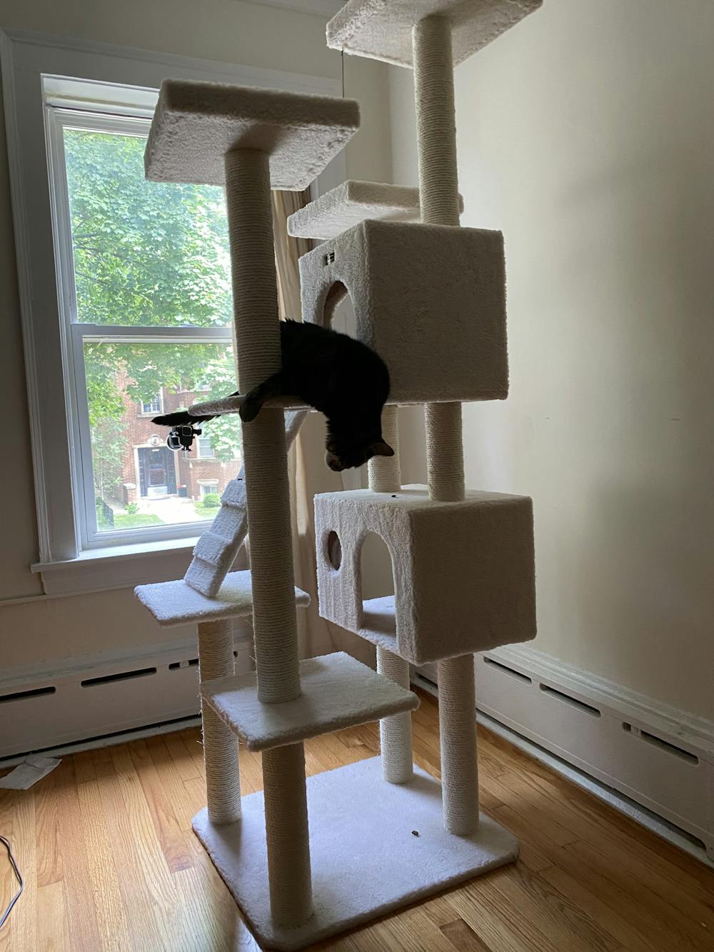 Armarkat Classic 77-Inch Cat Tree Model, Ivory (B7701)