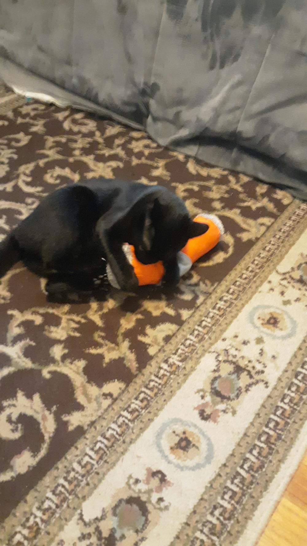 Hunting Instincts Kicker