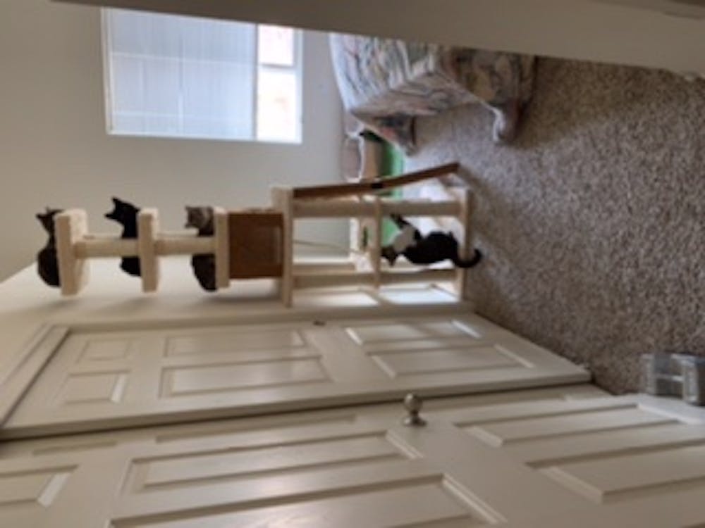 Armarkat Premium Cat Tree X8303