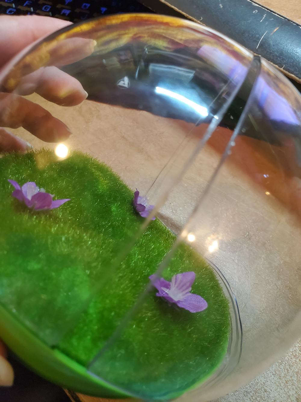 Butterfly Ball