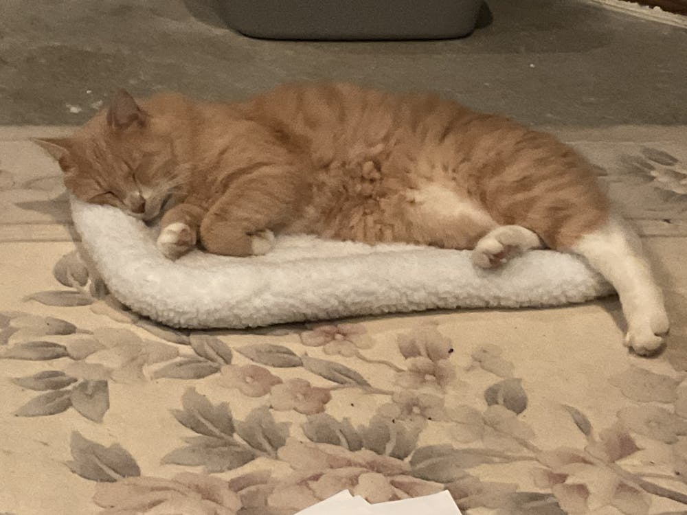 SnooZZy Fleece Bolster Mat- S