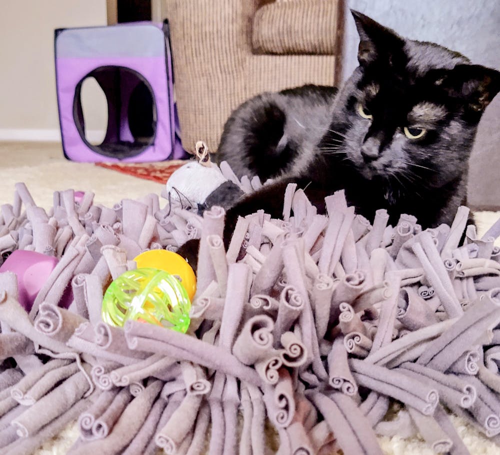 Snuffle Mat