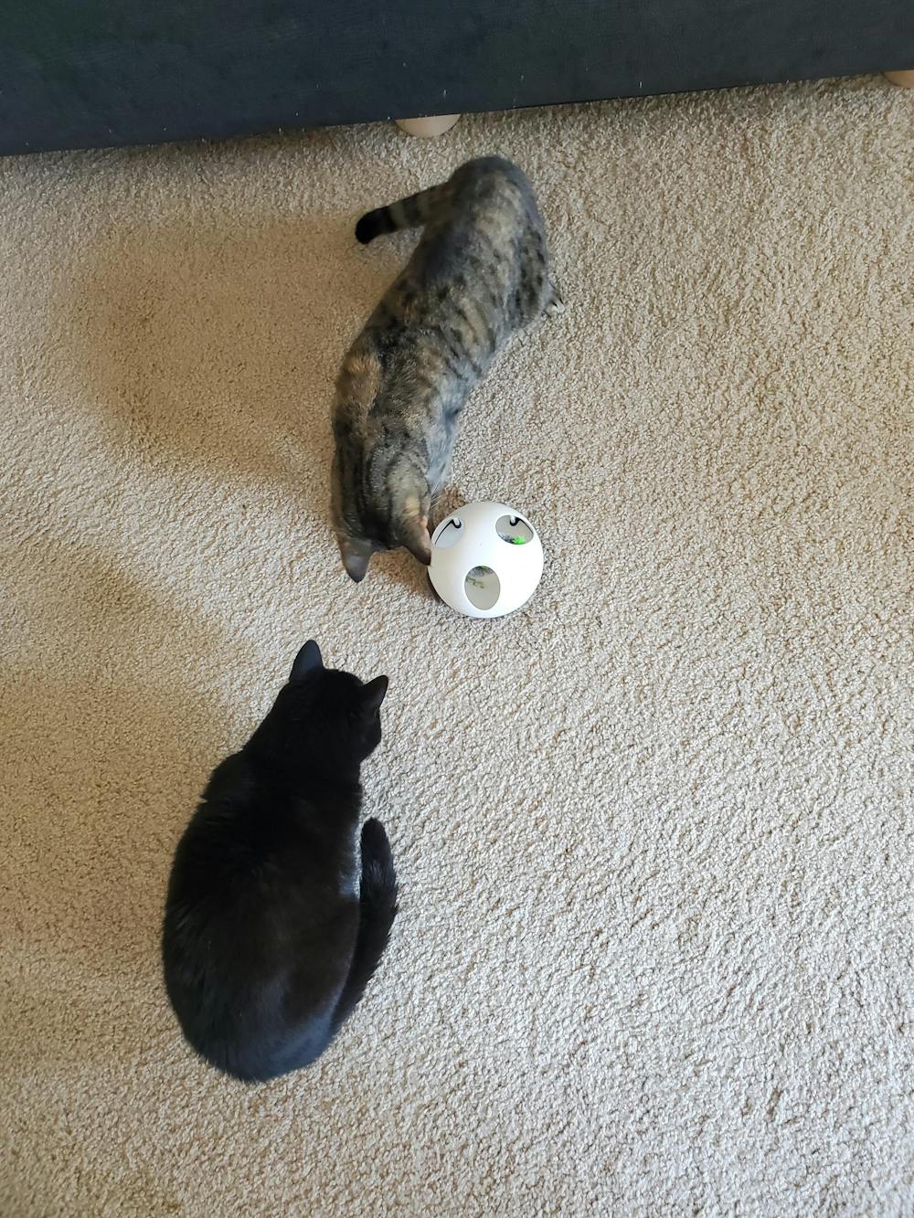 Hidey Mouse - Interactive Electronic Cat Toy