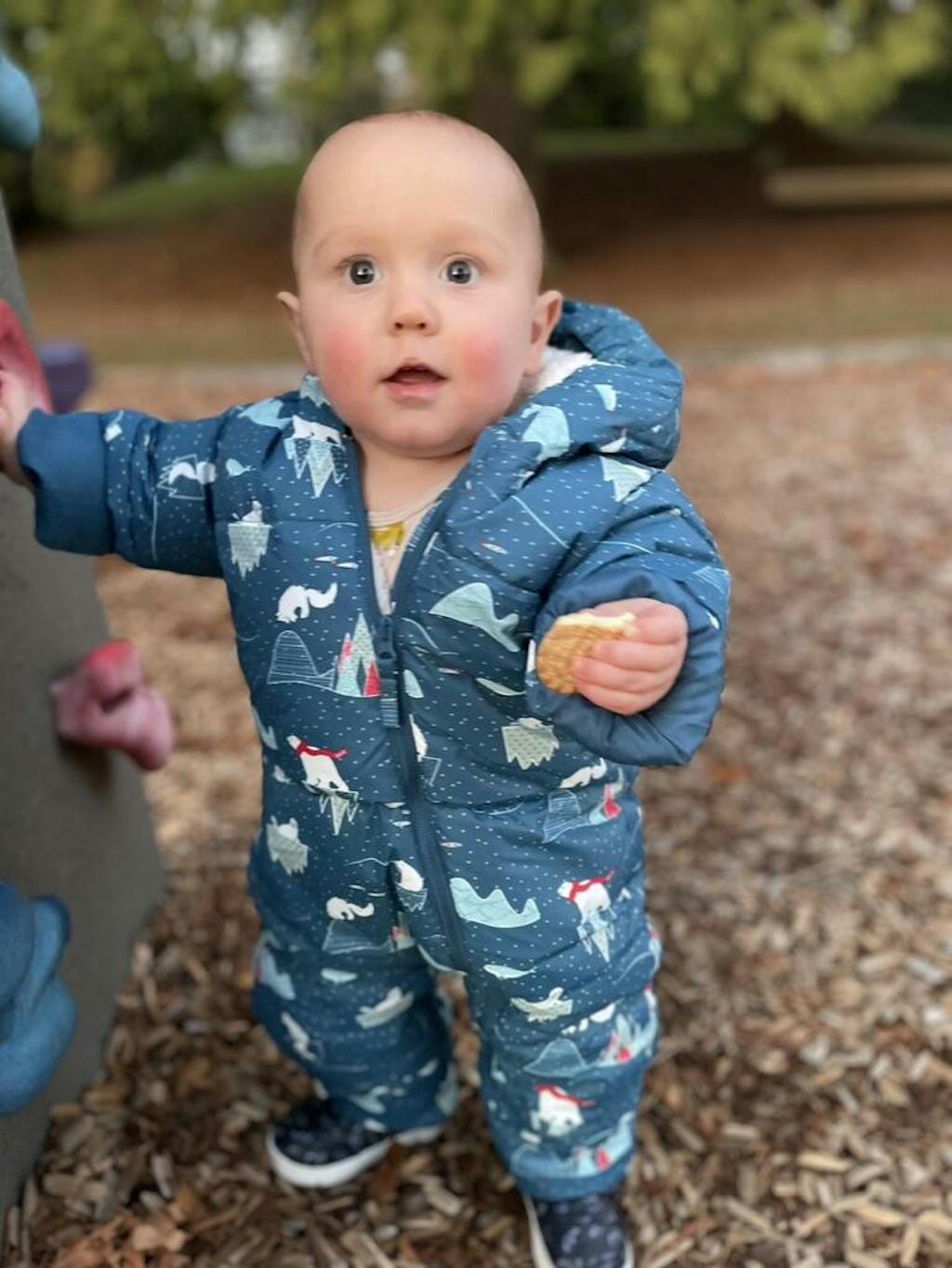 baby-snowsuit-arctic-waterproof-bunting-suit-jan-jul