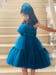 Pre Order: Tiana Teal Blue Dress With Hair Pin *