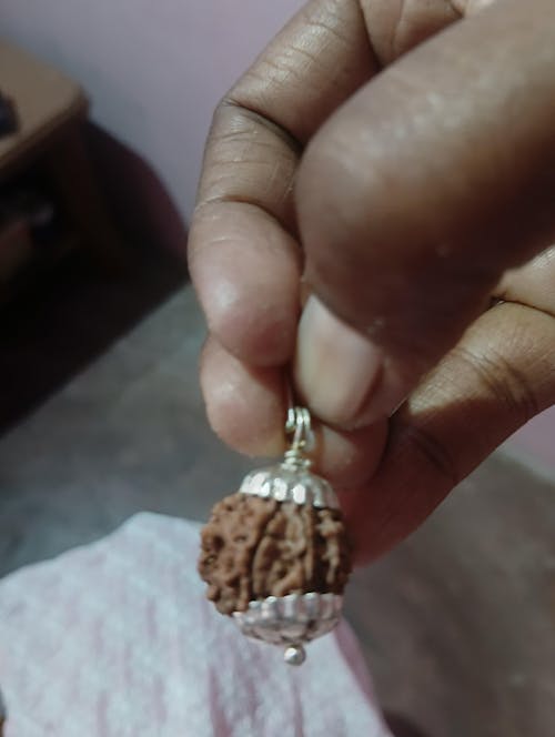 Free Gift - 5 Mukhi Nepali Rudraksha