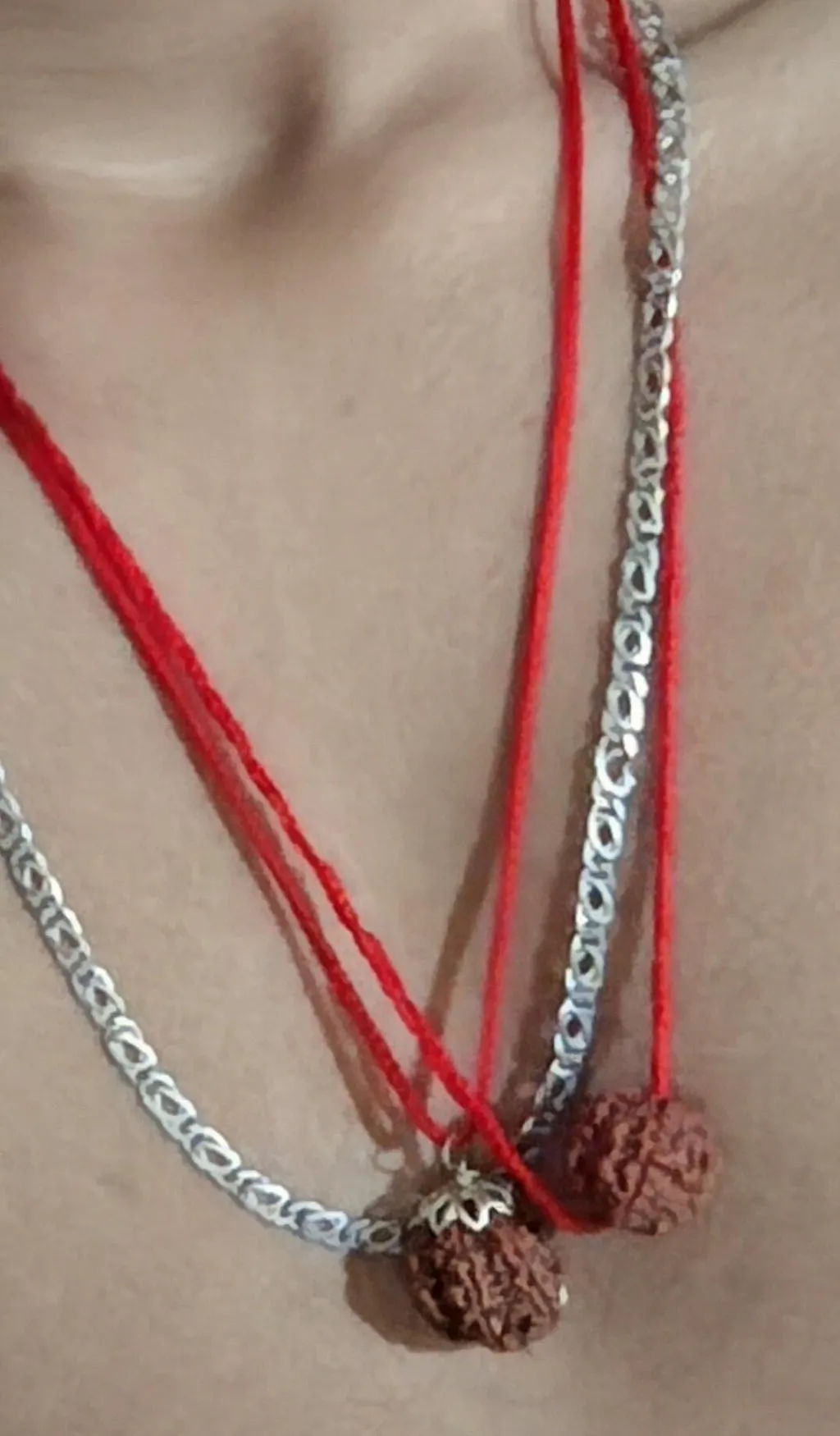 7 Mukhi Nepali Rudraksha - Saat Mukhi