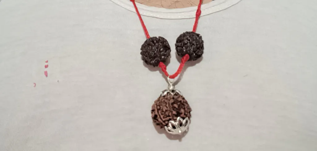 7 Mukhi Nepali Rudraksha - Saat Mukhi