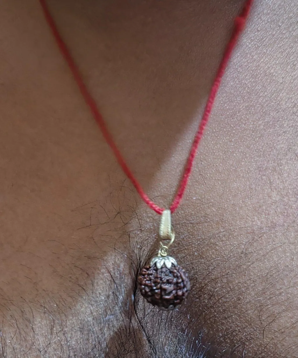 7 Mukhi Nepali Rudraksha - Saat Mukhi
