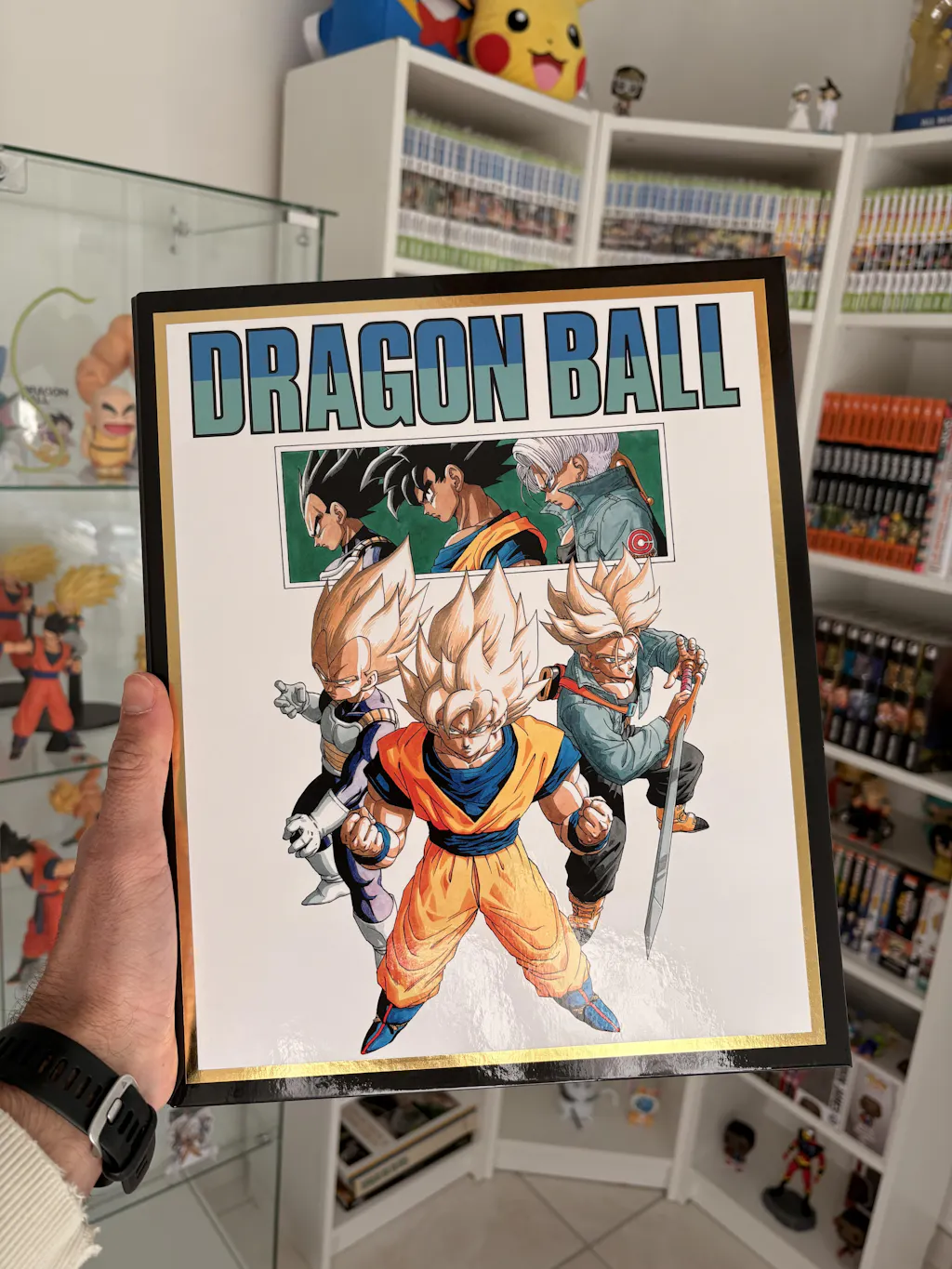 Cards Binder Set 315 x 260 x 43 mm – Dragon Ball | Japandco