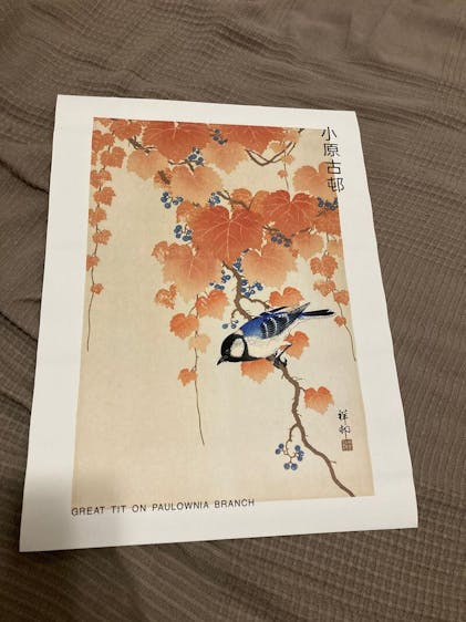 Ohara Koson: Two peacocks on tree branch - Gallery-style