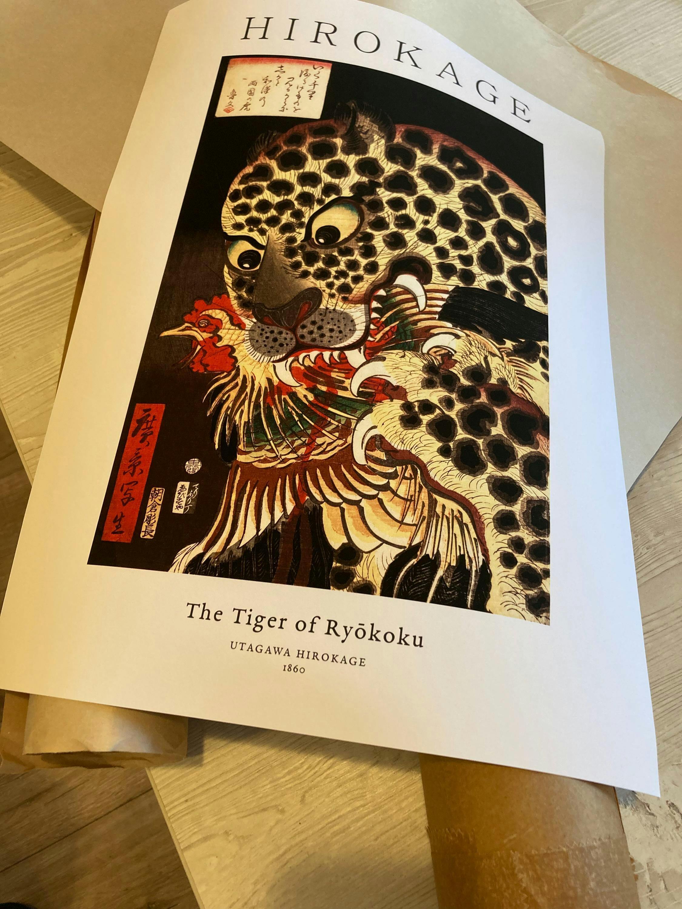 Skater Cat, Poster Art Framed Prints|Japandi.Art