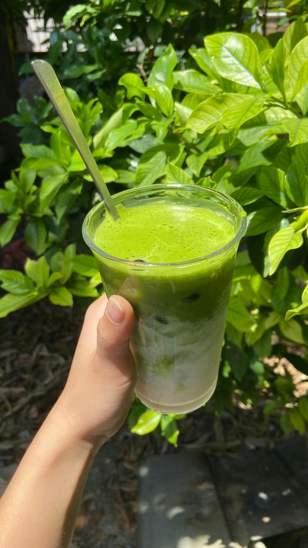 Matcha Yabukita by Nagatani