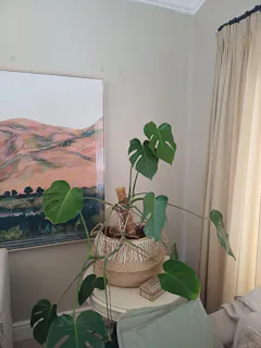 Review picture