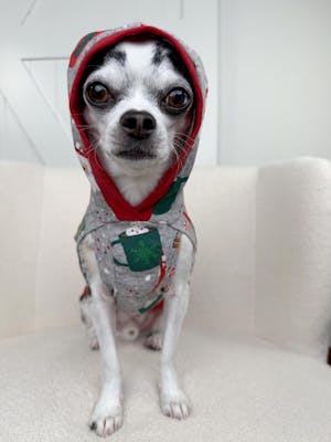 Christmas Dog Pajamas – Holiday Cocoa Mug Print