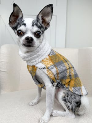 Gray & Yellow Plaid Dog Sweater – Fleece Pullover with Faux Sherpa Turtleneck