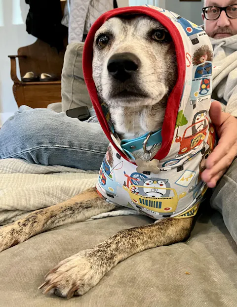 Animal Road Trip Cotton-Spandex Dog Pajamas with Hood