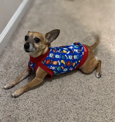 Monster Skateboarders Cotton-Spandex Dog Pajamas