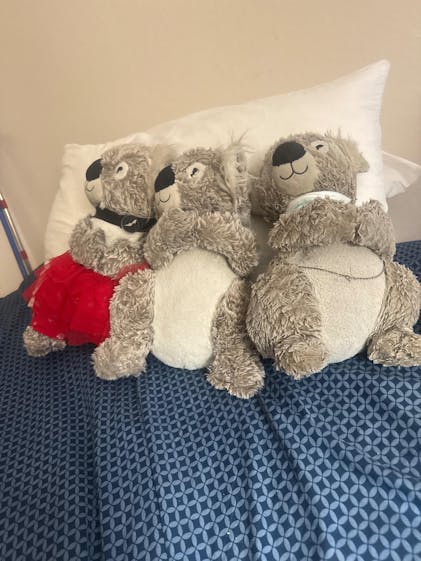 「Koala」A子 お願いします Heatable Huggable Lavender Kaylee the Koala | Sonomalavender