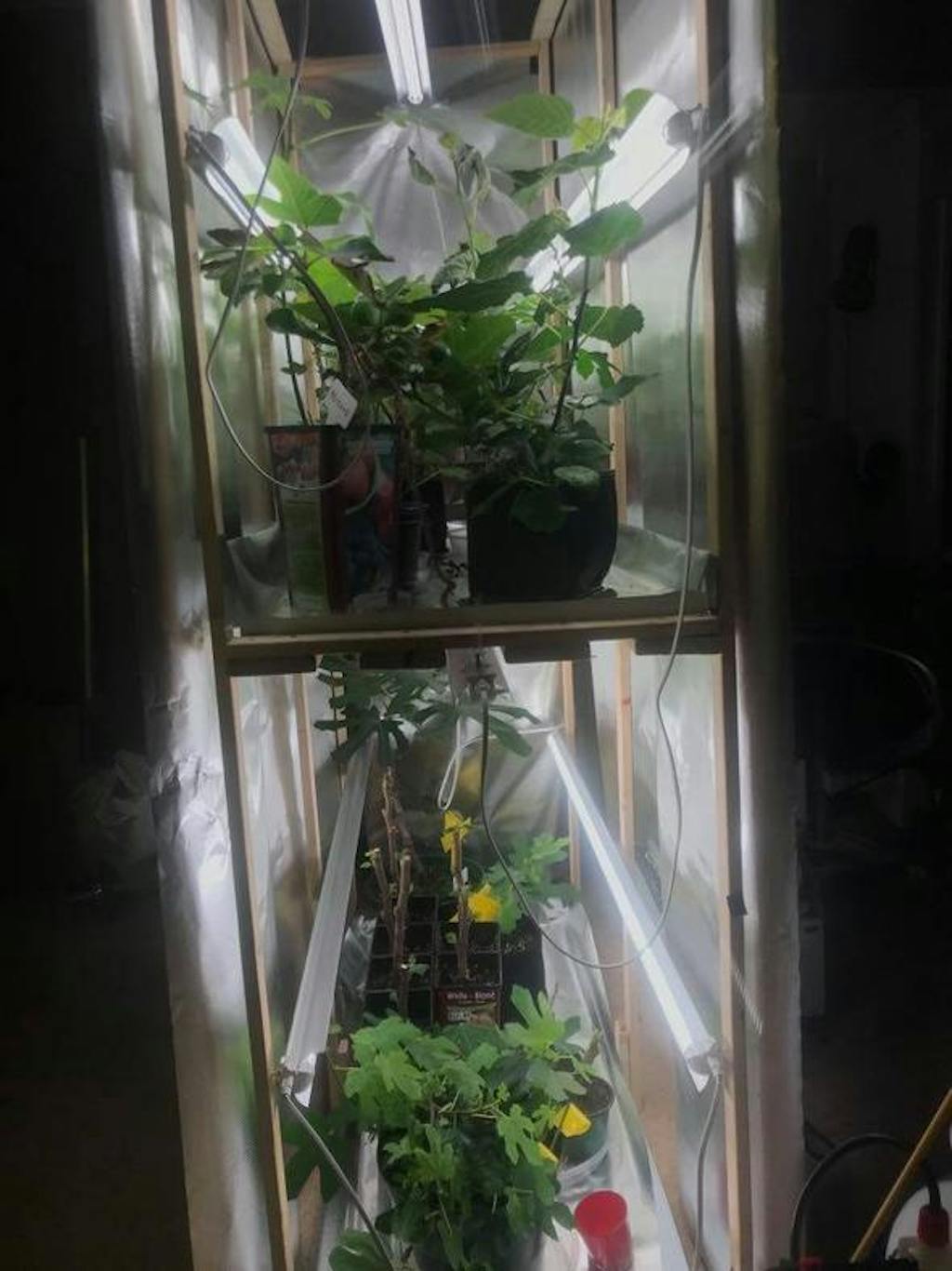 JESLED 2ft/3ft/4ft T8 LED Grow Light, Full Spectrum Sunlight Indoor