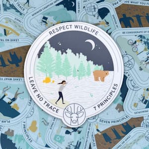 Custom Shape Stickers