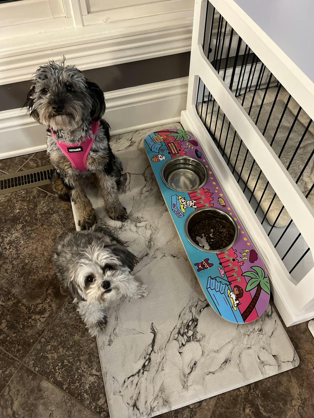 Camo Bar Skateboard Dog Bowl | Jiby Dog Crew