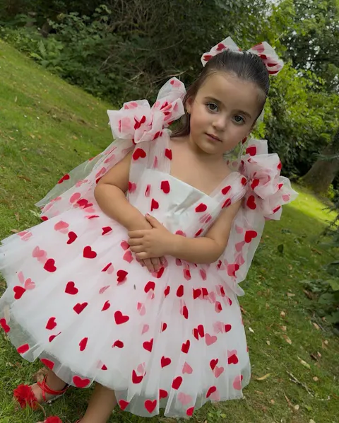 V-Neck Long Sleeves Bowed Tulle Flower Girl Dress D059