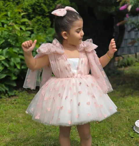 V-Neck Long Sleeves Bowed Tulle Flower Girl Dress D059