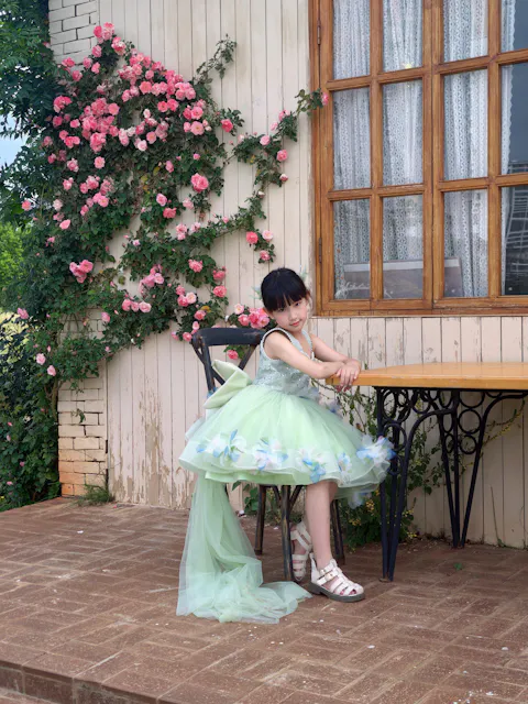 3D Flowers Green Pageant Girl Dress Princess Birthday Gown J873