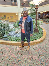 User picture