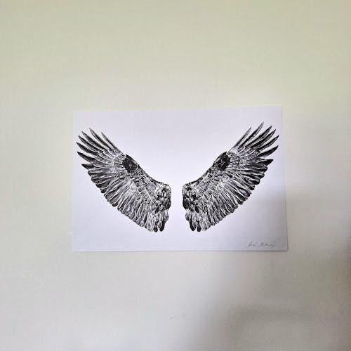 Joel Manley Art