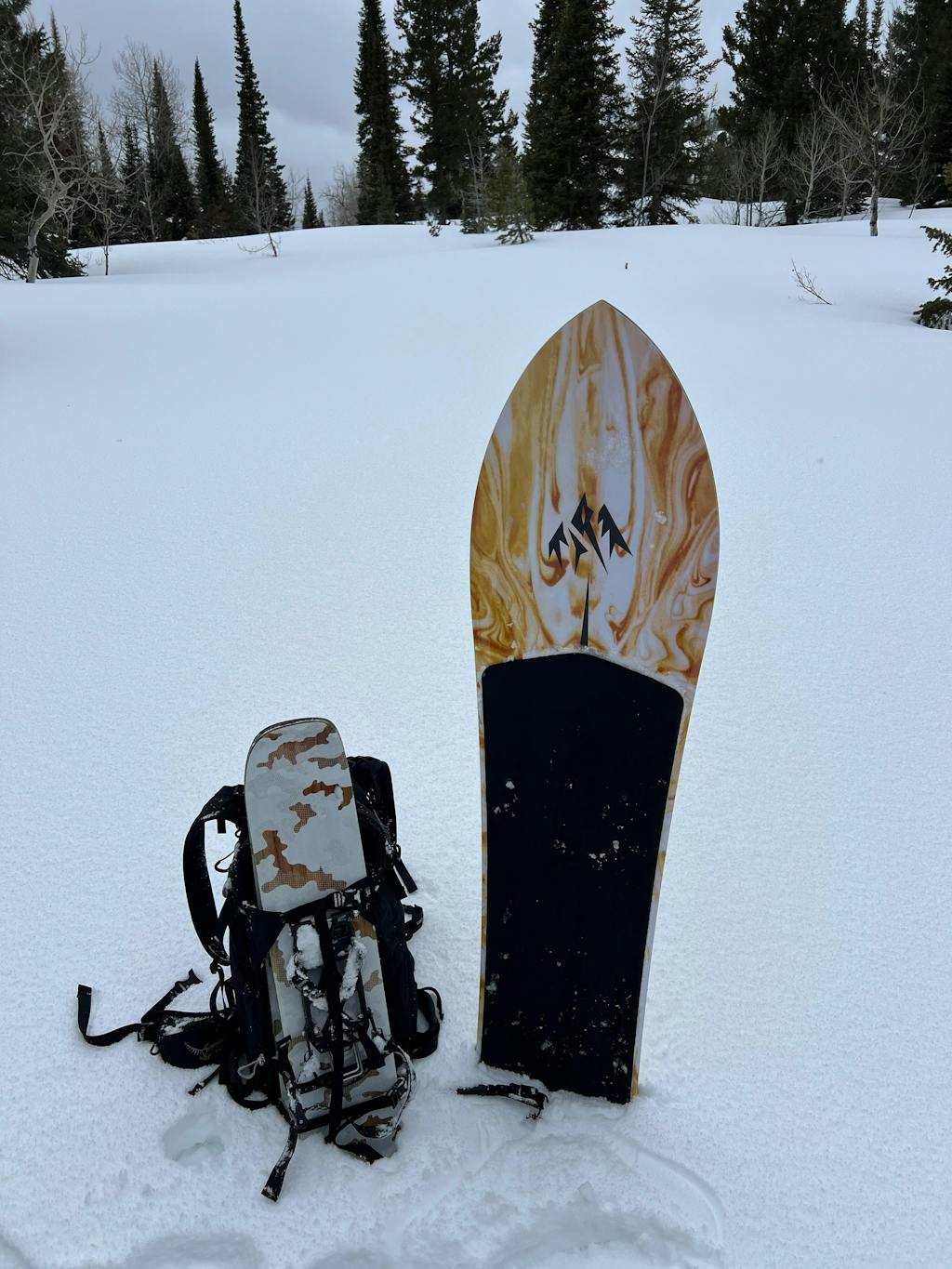 Mountain Surfer Snowboard | Jones