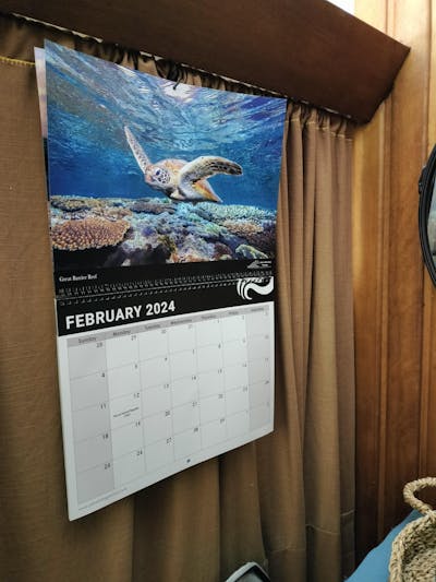 2024 Australian Wall Calendar