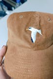 Least Tern / Corduroy hat