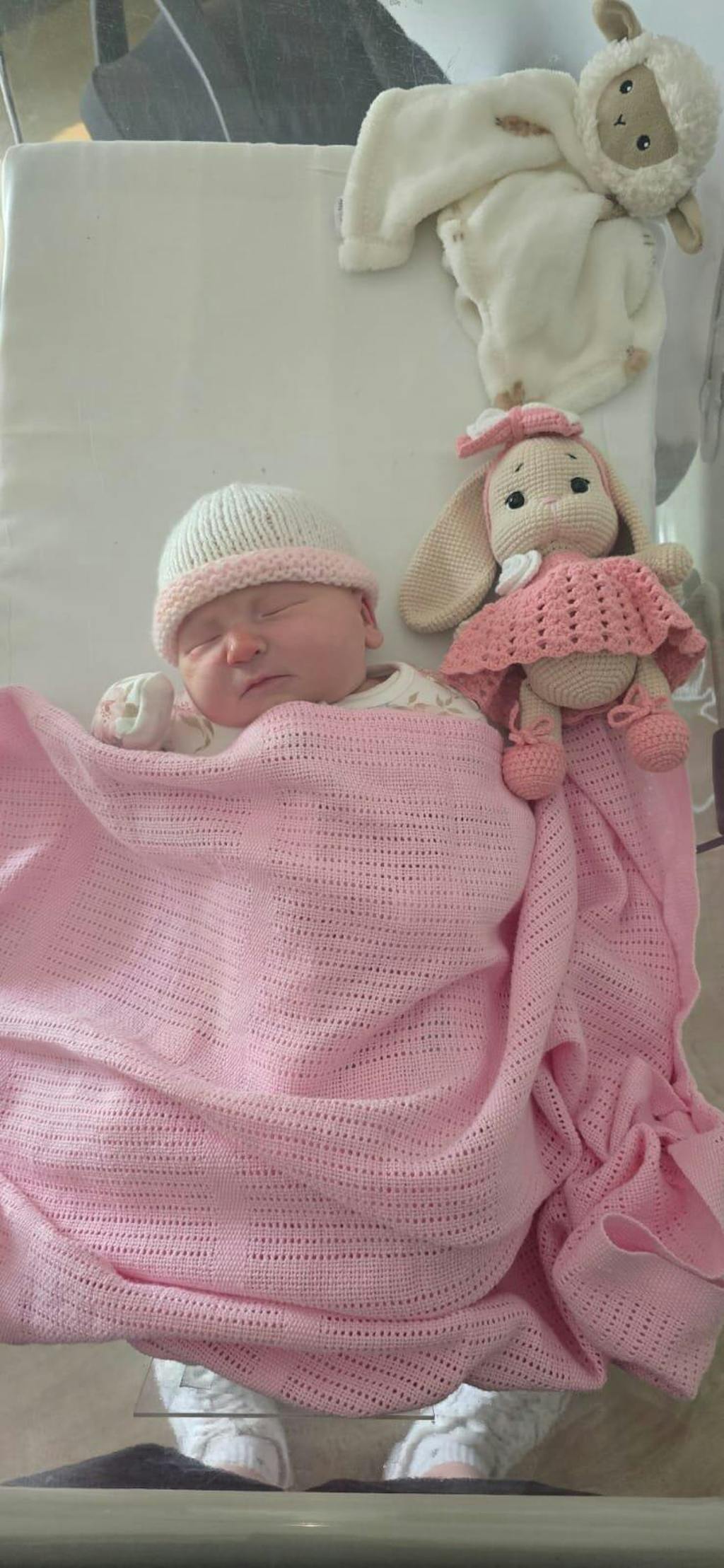 Crochet Cute Bunny with Pink Dress