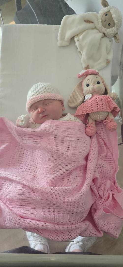 Crochet Cute Bunny with Pink Dress