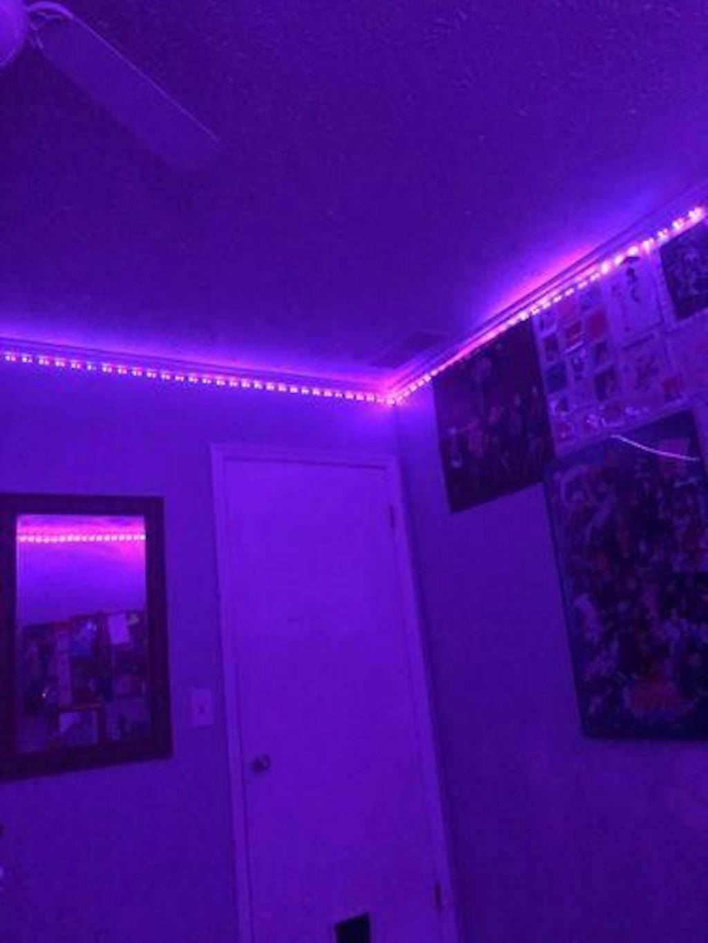 LED Light Strips – Juicleds