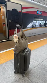 Twist Bag Cocoa X Arena