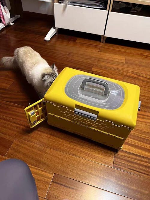 Collapsible Pet Travel Crate for Cats and Small Dogs