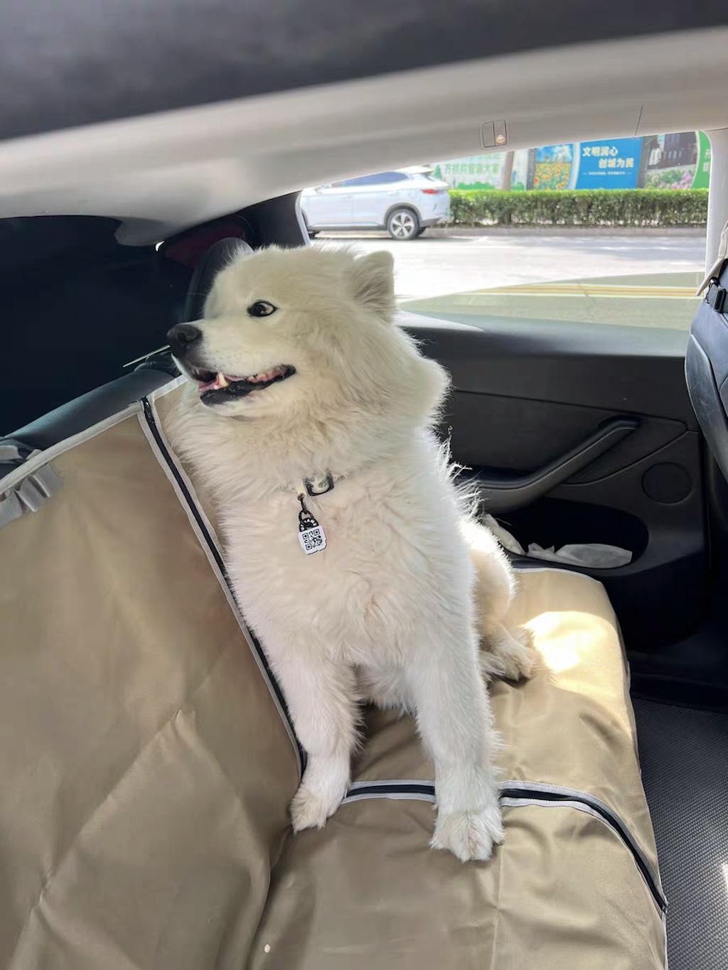 urbanTrail Multifuncational Dog Car Seat Protector