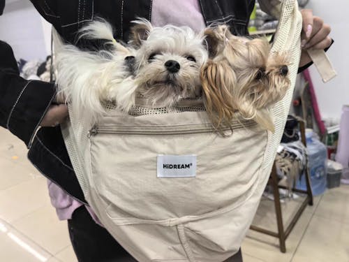 urbanTrail Breathable Pet Sling Bag