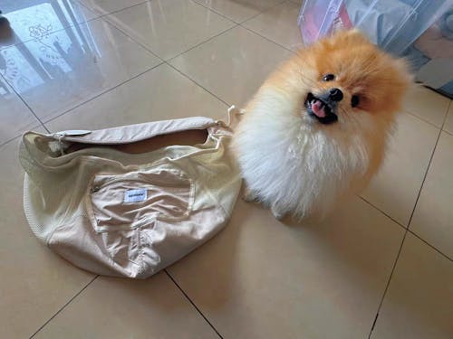 urbanTrail Breathable Pet Sling Bag