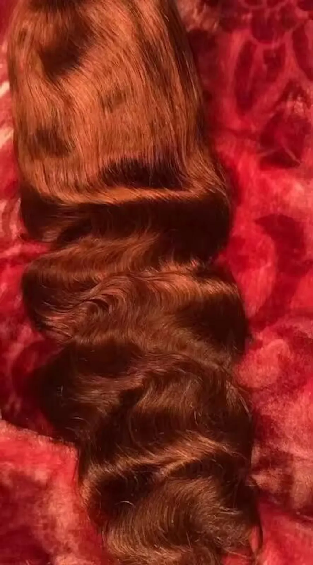Reddish Brown Straight/Body Wave Lace Front Human Hair Wig Flash Sale