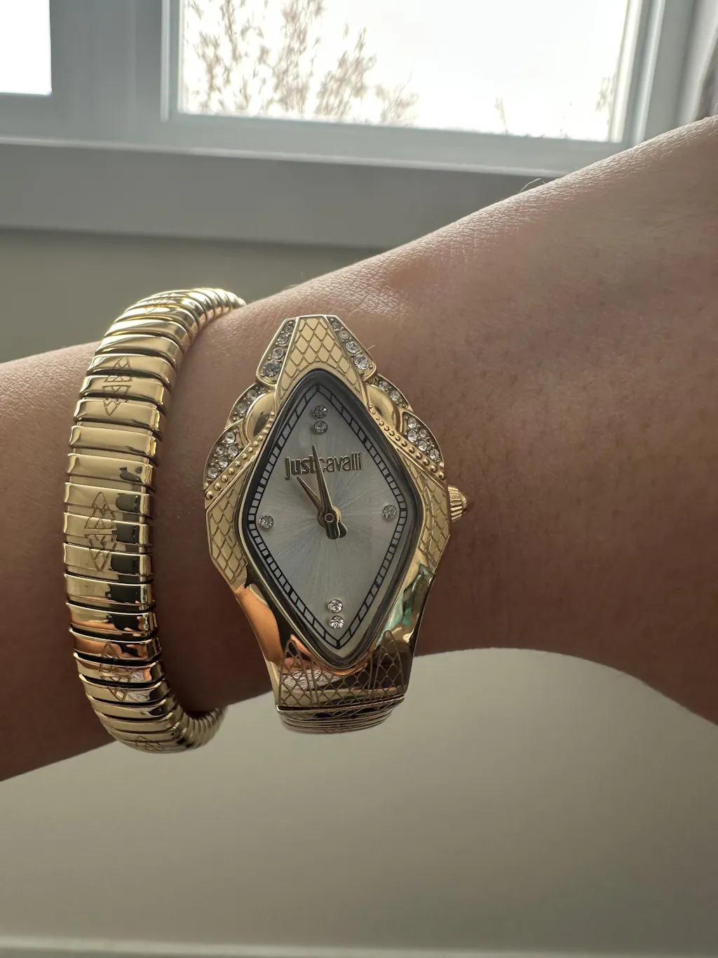 Just Cavalli Signature Snake Ferocious Yellow Gold Silver Watch