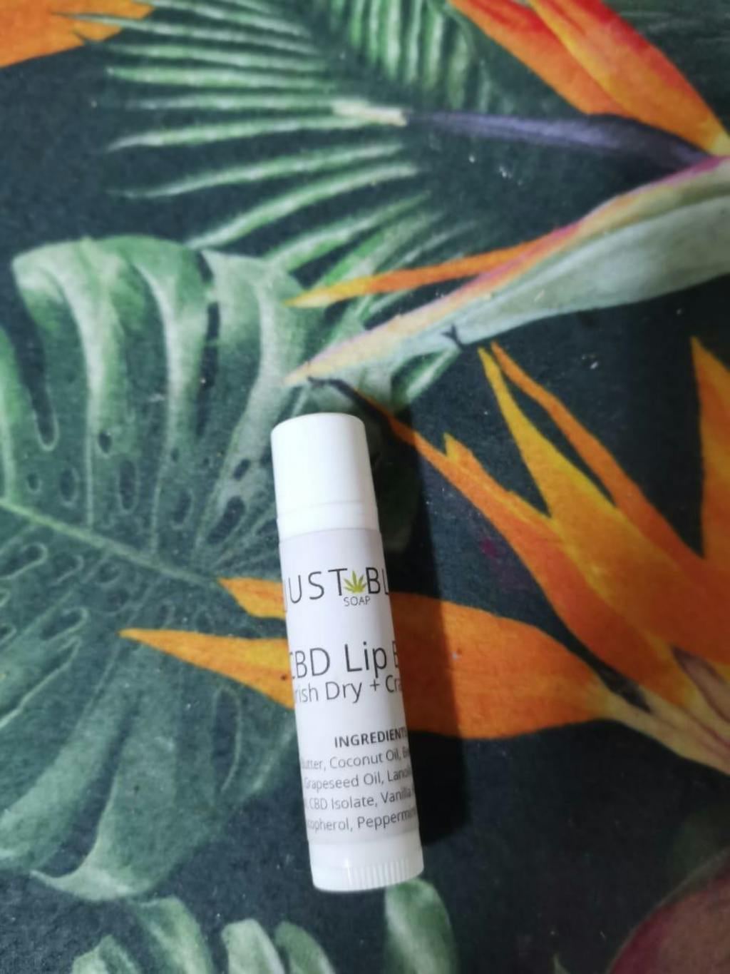 All Natural Lip Balm – Plant-Based Hydration in Pure, Refreshing Scents