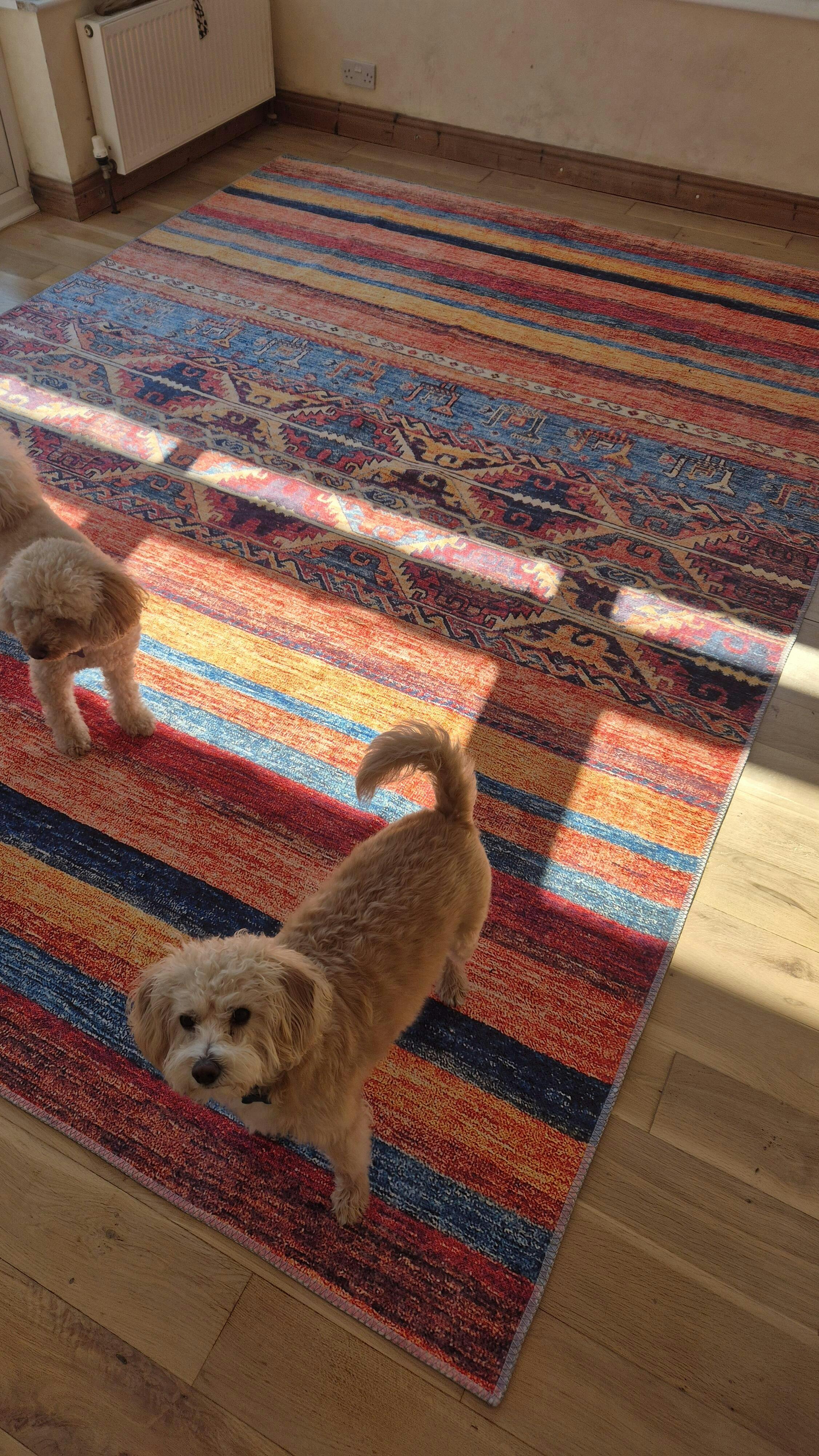 Arctic Chill Striped Multicolor Washable Rug | JUSTRUG