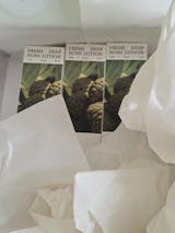 صورة المستخدم