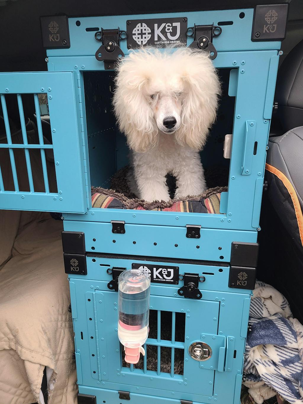 Collapsible Dog Crate K&J Custom Dog Crates