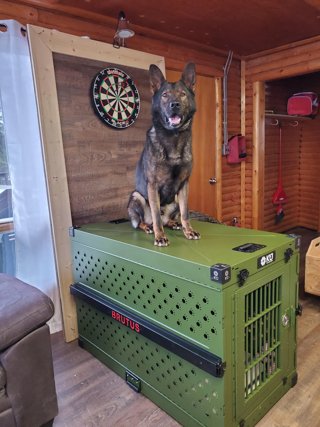 View of Collapsible Dog Crate K&J Custom Dog Crates