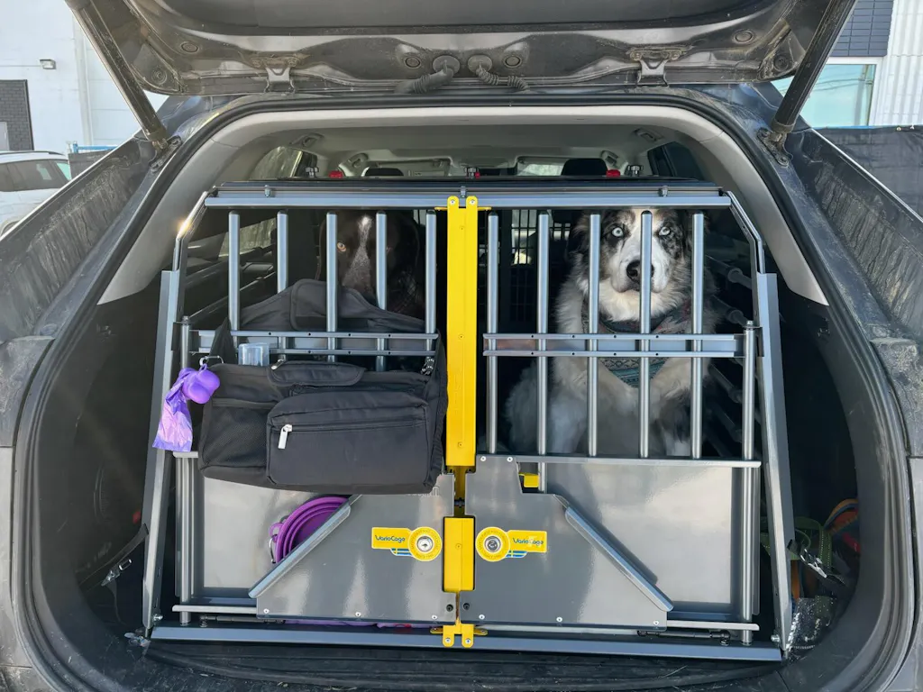 View of Escape-Proof and Durable Crates for Your Pup |K&J Custom Dog Crates